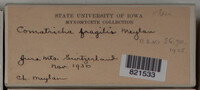 Image Associated With the Occurence